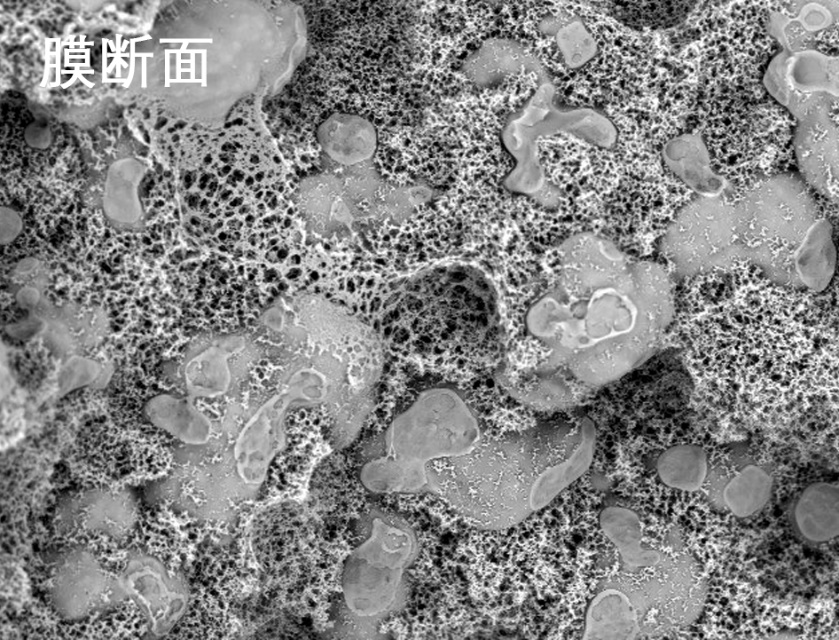 97�����ս��ʽĤ�羵��Ƭ