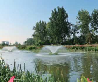 97���ʡ�(�й���)���޹�˾����